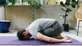 balsana.gif