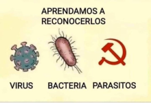 1704585676798.png