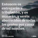 Sin título.jpg