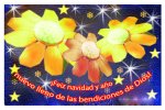 tarjeta 3 flores copia.jpg