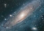 cosmos2.jpg