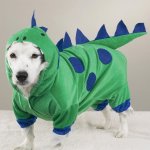 Dogzilla Dinosau&#114.JPG