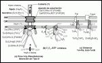 FLAGEL6-SP.gif