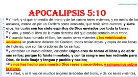 24 ancianos.jpg