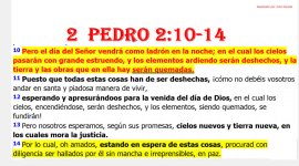 2 Pedro.jpg