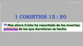 Primicias.jpg