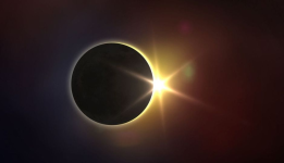 1712617228588.png