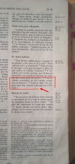Lucas 23 (2).jpg