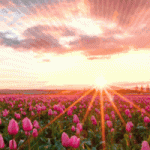 1714744583822.gif