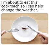 FB_IMG_1717339637251.jpg