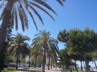 Paseo M..jpg