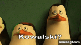 kowa.gif