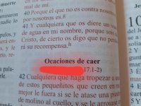 20240819_170618.jpg