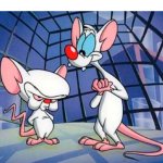 pinky-y-cerebro.jpg