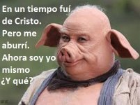 cerdo.jpg
