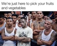 FB_IMG_1738833855190.jpg