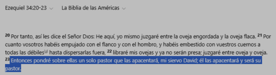 1747055490424.png
