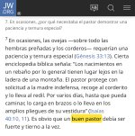 12009C84-1186-4896-8B97-CACBFAE16326.jpeg