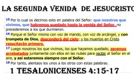 SEGUNDA VENIDA.jpg