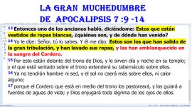 No seas  burro.jpg