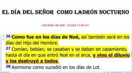 dias  de  noe.jpg