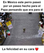 1750177599123.png
