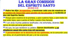 Nueva comision.jpg
