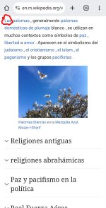 Screenshot_20250712_121929_Chrome.jpg