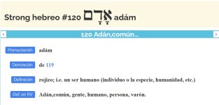 ADAM.jpg
