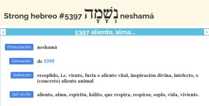 neshama.jpg