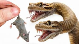 1761969883930.png 1761969883930.png