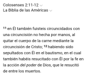 Screenshot_20251113145358.png Screenshot_20251113145358.png