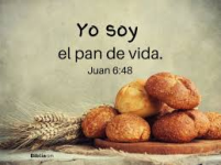 1765828702780.png 1765828702780.png