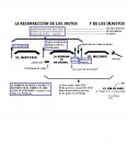 LasDosResurrecciones.jpg