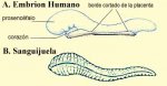 ch1-1-a-img1.jpg