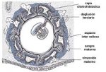 ch1-1-a-img2.jpg