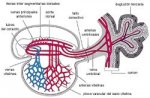 ch1-1-a-img4.jpg