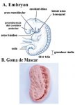ch1-1-a-img6.jpg