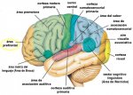 ch1-1-d-img1.jpg