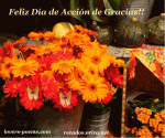 accion-de-gracias-101123-2.gif