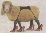 oveja.jpg