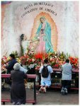 guadalupe.jpg