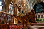 dsc0336-L.jpg