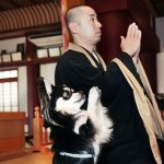 praying-dog1.jpg