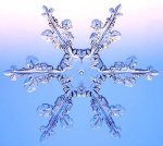 monográficos-copo-nieve-tierra.JPG