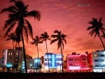 South_Beach_Neon_Nightlife.jpg