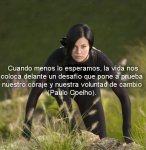 2005_a11.jpg 2005_a11.jpg