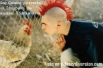 gallo_1.PNG