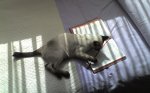 08-04-11_1239 b.jpg