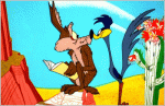 wile-coyote-roadrunner.gif